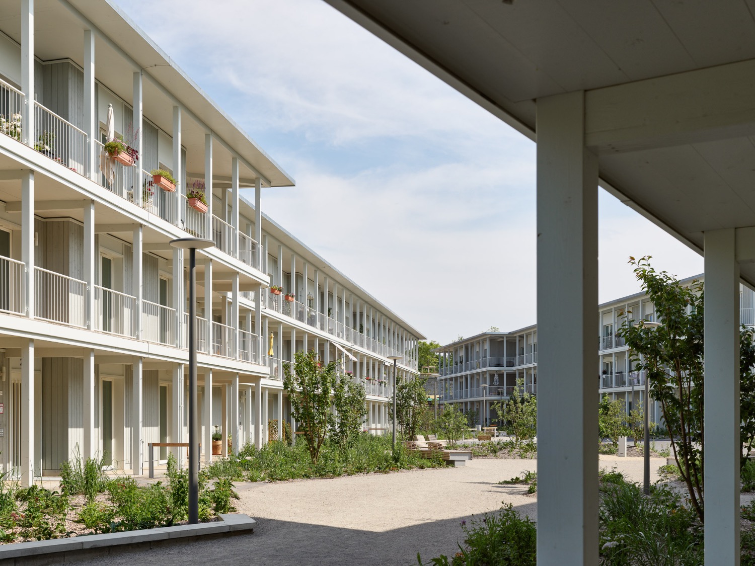 2023-07/dorschner-kahl-architekten-andreasgaerten-erfurt-philipheckhausen02